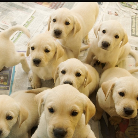 Bundle and Save! - Picture 3 of 10